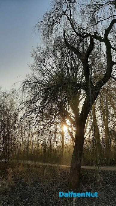Bellingeweer sfeer - Foto: Jennie Kanis