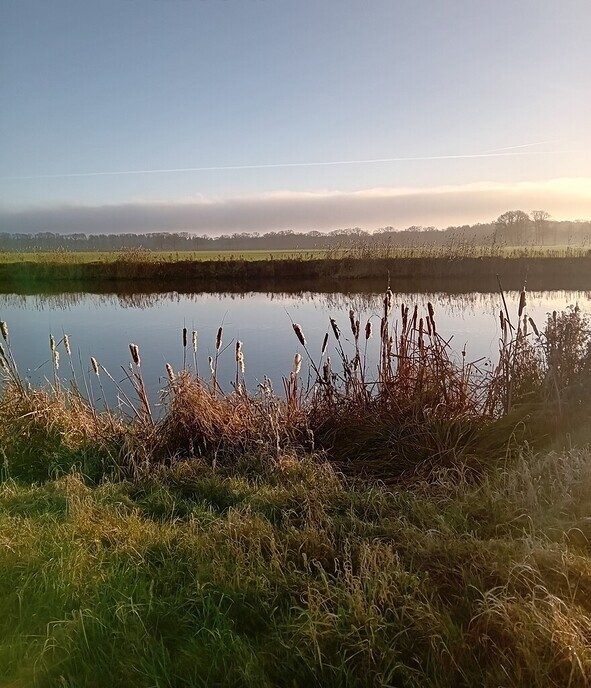 Foto van aan de Vecht van vandaag - Foto: Ingezonden foto