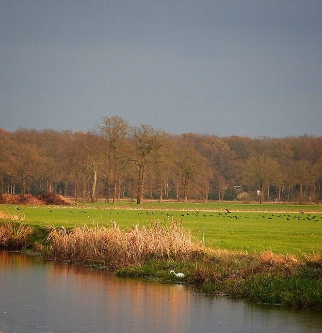 Fietstocht - Foto: Femmie Smink
