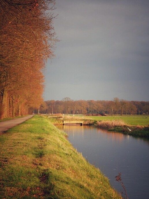 Fietstocht - Foto: Femmie Smink