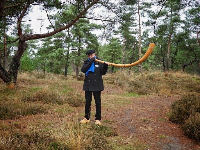 Midwinterhoorns bij natuurbegraafplaats Arriën - Foto: Femmie Smink
