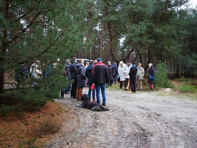 Midwinterhoorns bij natuurbegraafplaats Arriën - Foto: Femmie Smink