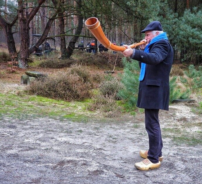 Midwinterhoorns bij natuurbegraafplaats Arriën - Foto: Femmie Smink