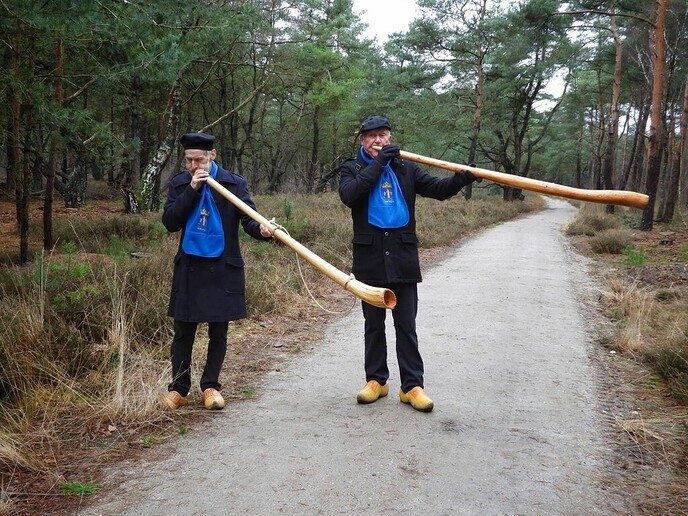 Midwinterhoorns bij natuurbegraafplaats Arriën - Foto: Femmie Smink