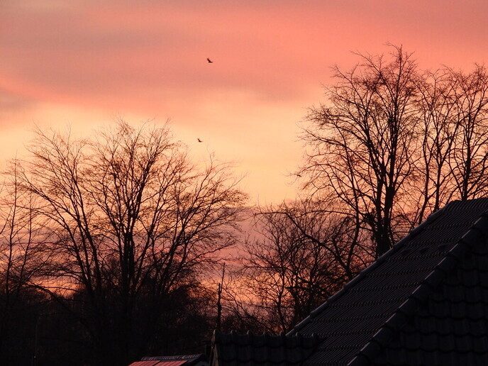 Zonsondergang: geen dag het zelfde - Foto: Femmie Smink