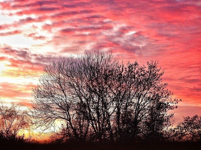 Zonsondergang: geen dag het zelfde - Foto: Femmie Smink