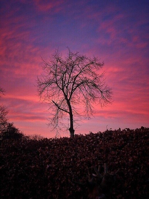 Wonderlijke zonsondergang - Foto: Femmie Smink