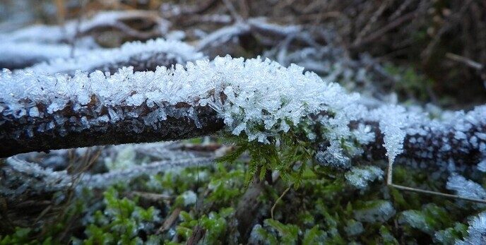 Een beetje winterse beelden - Foto: Femmie Smink