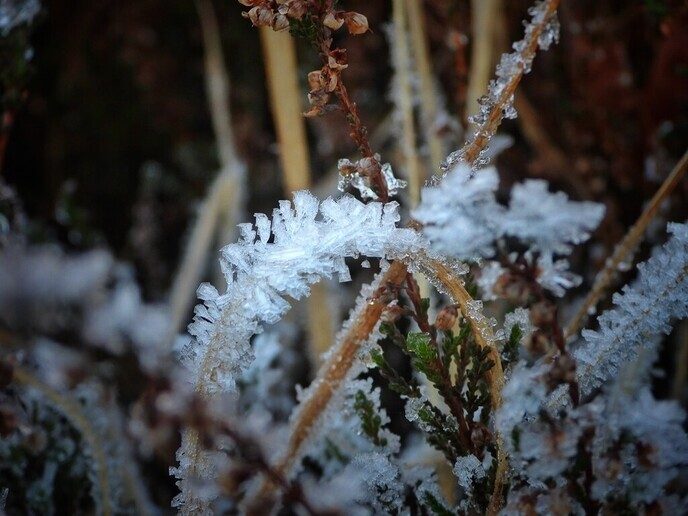 Een beetje winterse beelden - Foto: Femmie Smink