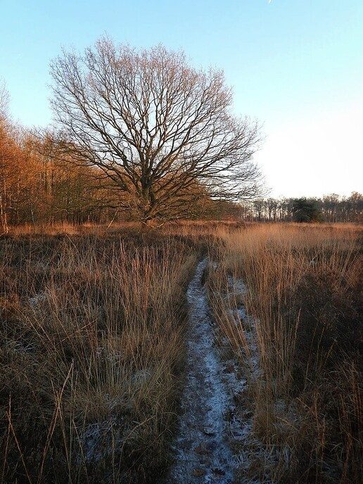 Een beetje winterse beelden - Foto: Femmie Smink