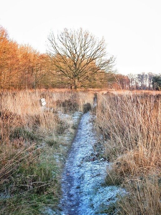 Een beetje winterse beelden - Foto: Femmie Smink