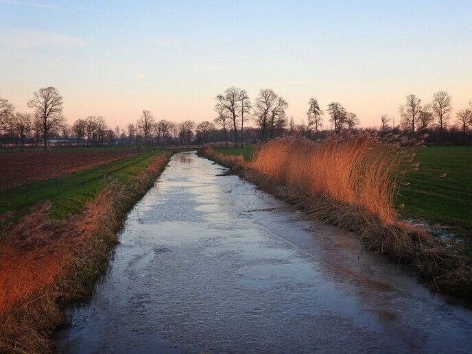Een beetje winterse beelden - Foto: Femmie Smink