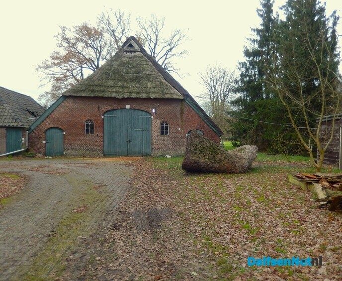 Nostalgie - Foto: Willy