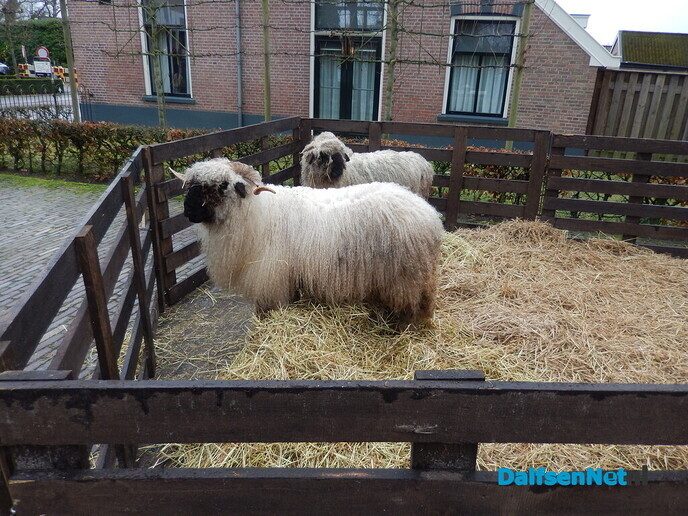 Gigantisch wat een feest bij Historisch schouwspel Den Ham (Veel foto’s) - Foto: Willy
