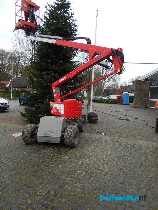 De kerstbomen staan weer - Foto: Willy