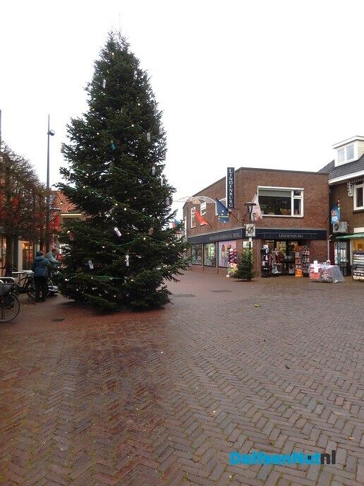 De kerstbomen staan weer - Foto: Willy