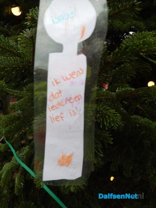 De kerstbomen staan weer - Foto: Willy