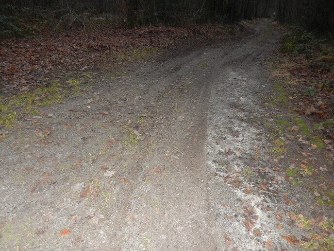 Weer crossen met motoren in natuurgebied (update) - Foto: Ingezonden foto