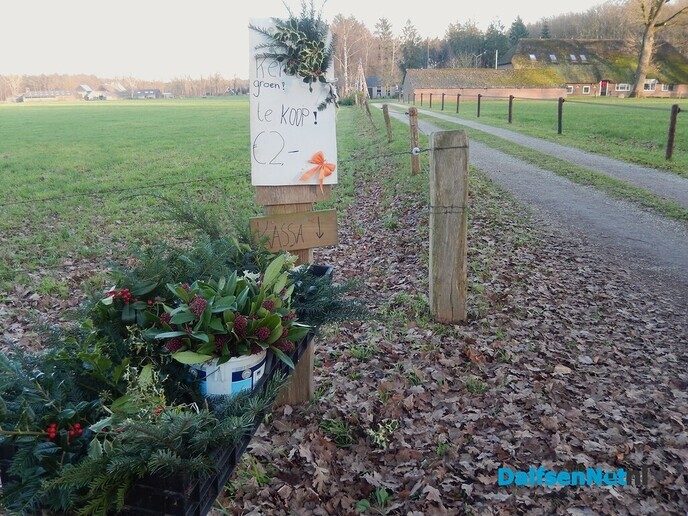 Buurkinderen verkopen Kerstgroen - Foto: Willy