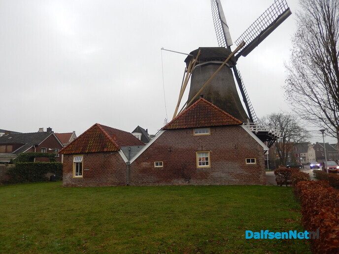 Ballen gooien, ze genieten er wel van, maar hoe lang daar nog - Foto: Willy