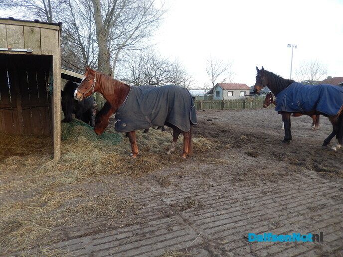 Boeren kerstmarkt bij landjuweel De Hoeven - Foto: Willy