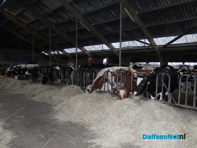 Boeren kerstmarkt bij landjuweel De Hoeven - Foto: Willy