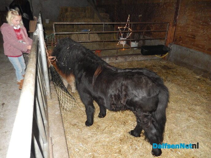 Boeren kerstmarkt bij landjuweel De Hoeven - Foto: Willy