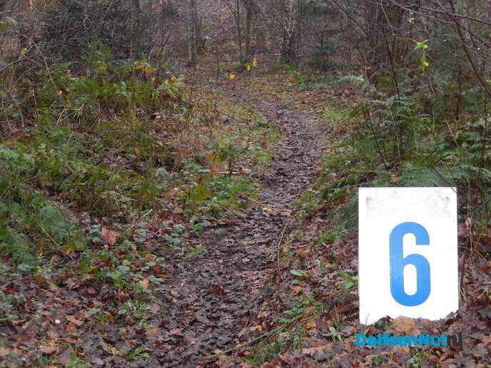 Het parcours is uitgezet - Foto: Willy