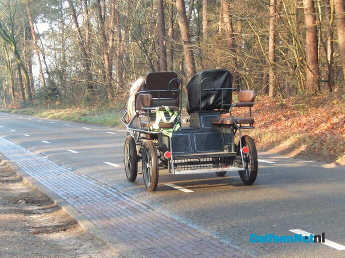 Dat is een rare gewaarwording: zo maar een paard (los) op straat - Foto: Willy