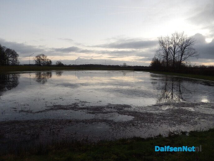 Zouden ze op meer vorst gerekend hebben? - Foto: Willy