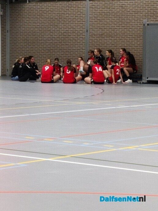 SV Dalfsen handbal B1 pakt koppositie - Foto: Ingezonden foto