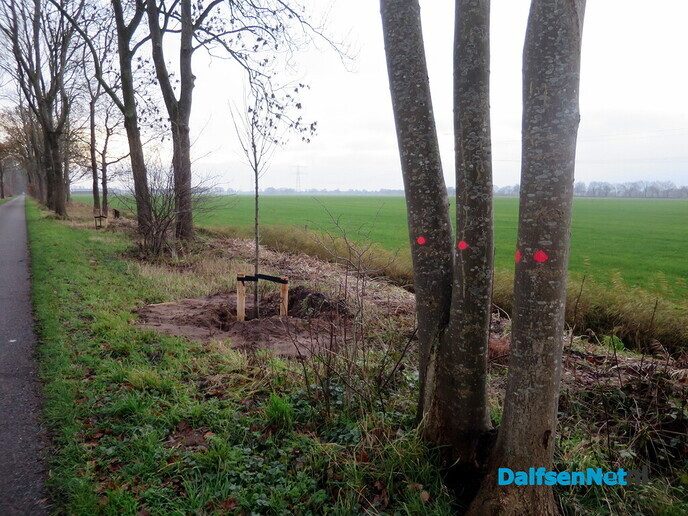 Wandeling langs Knobbenboom en mooiste boom van Salland - Foto: Wim