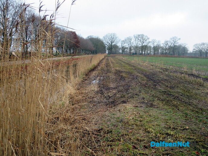 Wandeling langs Knobbenboom en mooiste boom van Salland - Foto: Wim