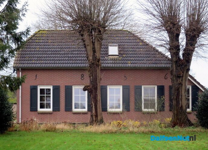 Wandeling langs Knobbenboom en mooiste boom van Salland - Foto: Wim