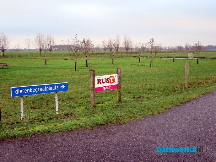 Wandeling langs Knobbenboom en mooiste boom van Salland - Foto: Wim