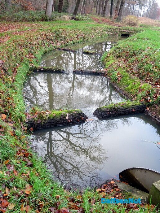 Wandeling langs Knobbenboom en mooiste boom van Salland - Foto: Wim