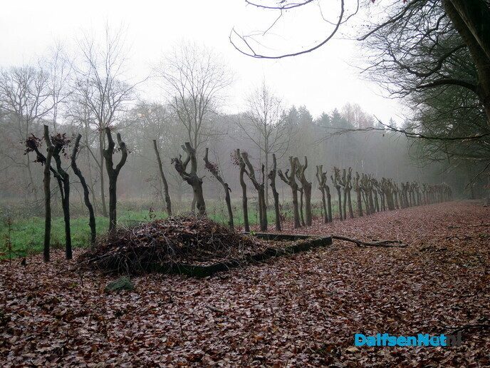 Even een korte wandeling over de Mataram - Foto: Wim