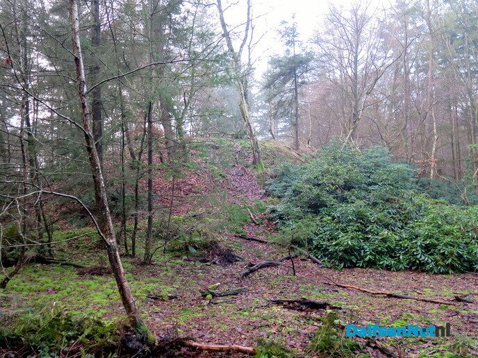 Even een korte wandeling over de Mataram - Foto: Wim