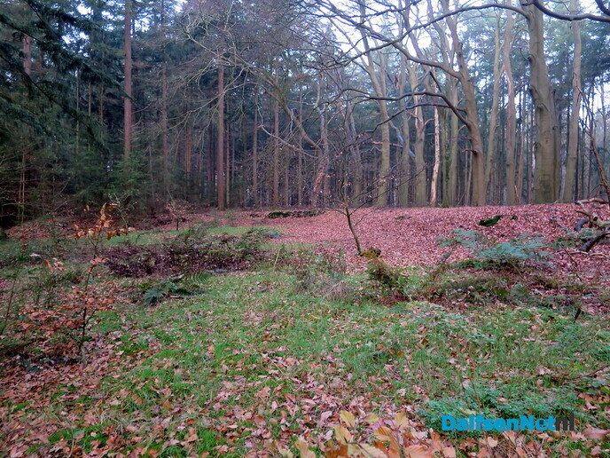 Even een korte wandeling over de Mataram - Foto: Wim