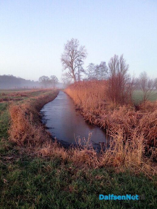 Klaverblad rond Hoonhorst? - Foto: Wim