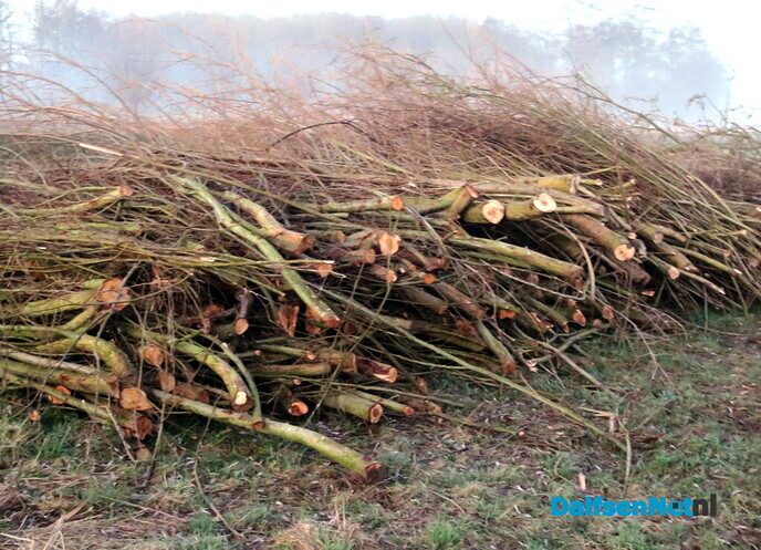 Klaverblad rond Hoonhorst? - Foto: Wim