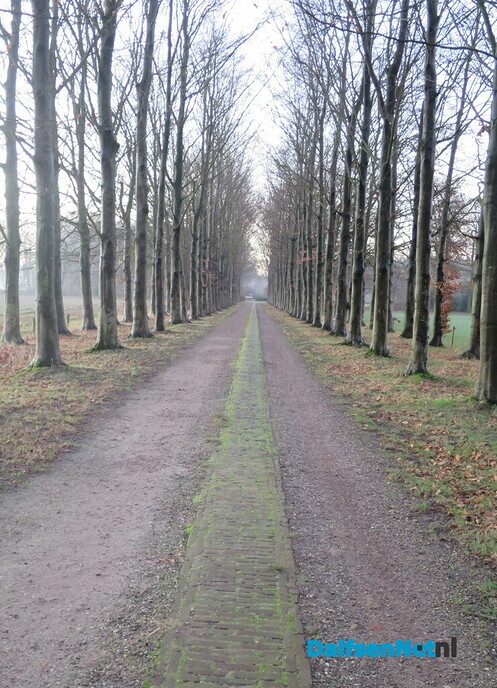 Klaverblad rond Hoonhorst? - Foto: Wim