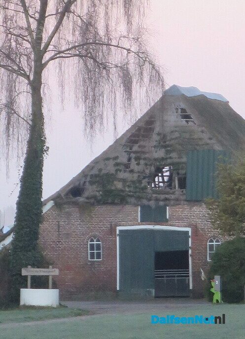 Klaverblad rond Hoonhorst? - Foto: Wim