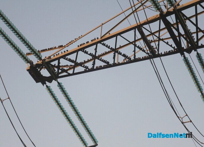 Klaverblad rond Hoonhorst? - Foto: Wim