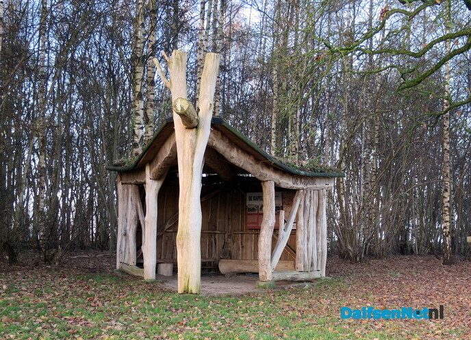 Klaverblad rond Hoonhorst? - Foto: Wim