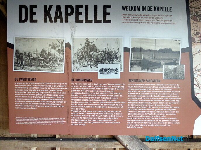 Klaverblad rond Hoonhorst? - Foto: Wim