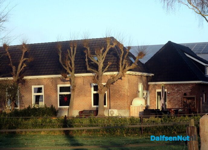 Klaverblad rond Hoonhorst? - Foto: Wim