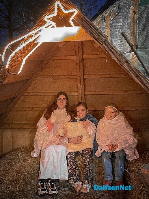 Lichtjes en kerstkleuren bij jaarlijkse Dalfser Kerstfestijn - Foto: Ruud Montagne