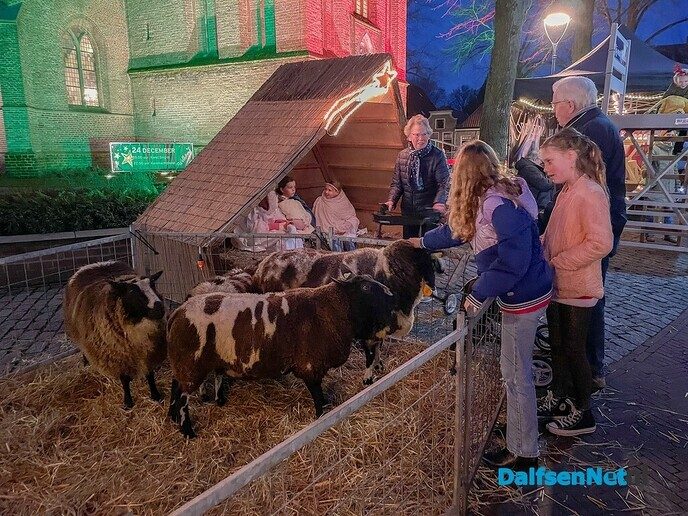 Lichtjes en kerstkleuren bij jaarlijkse Dalfser Kerstfestijn - Foto: Ruud Montagne