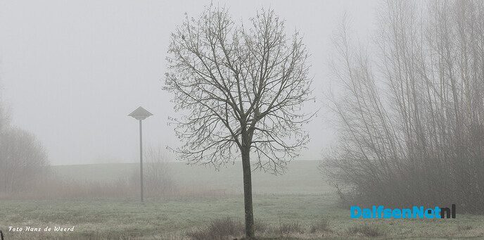 Bellingeweer in nevelen gehuld - Foto: Ingezonden foto